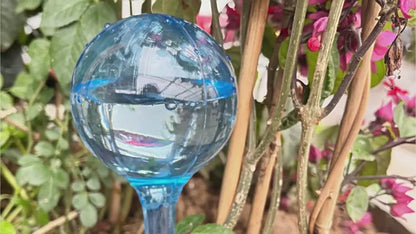 Plant Watering Globes